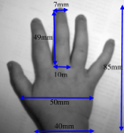 Basic-Dimensions-of-a-one-year-old-infant-hand-used-to-specify-the-BabyGlove-size.png