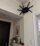 spider wifi.png