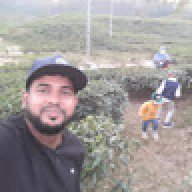 Mohammad Hatem Ali