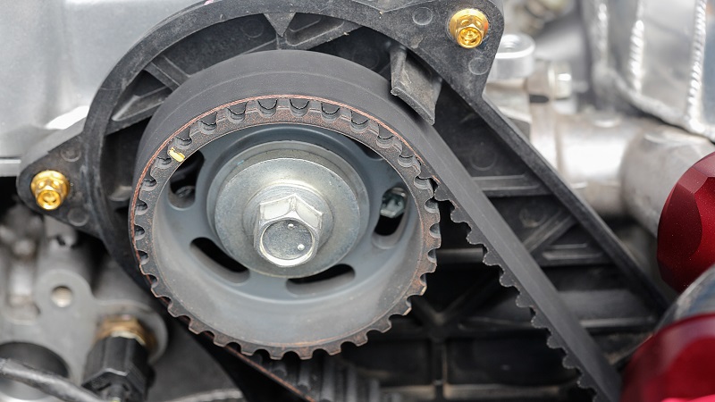 Timing belt and matching sprocket