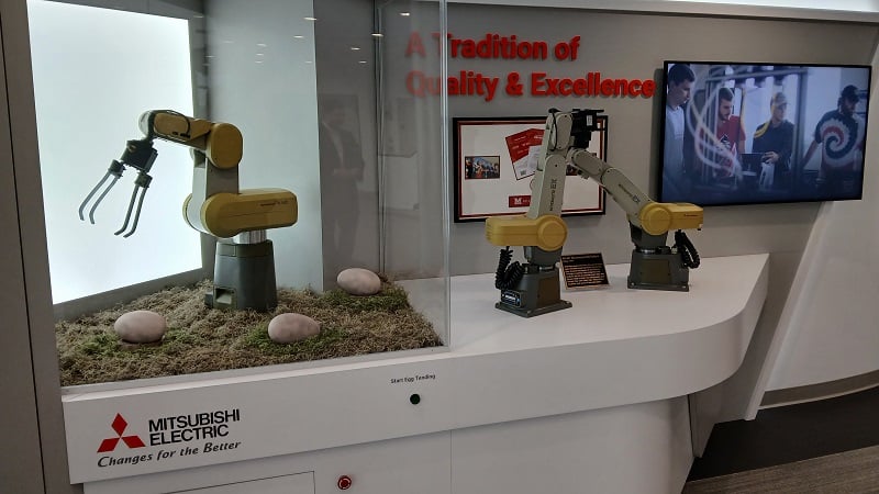 A prehistoric marvel awaits visitors in the showroom