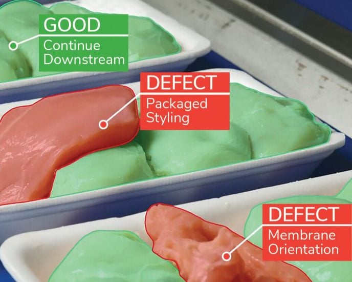 The VX2 Vision System is available with an IP69K rating for high-speed picking and inspection in food-grade applications.