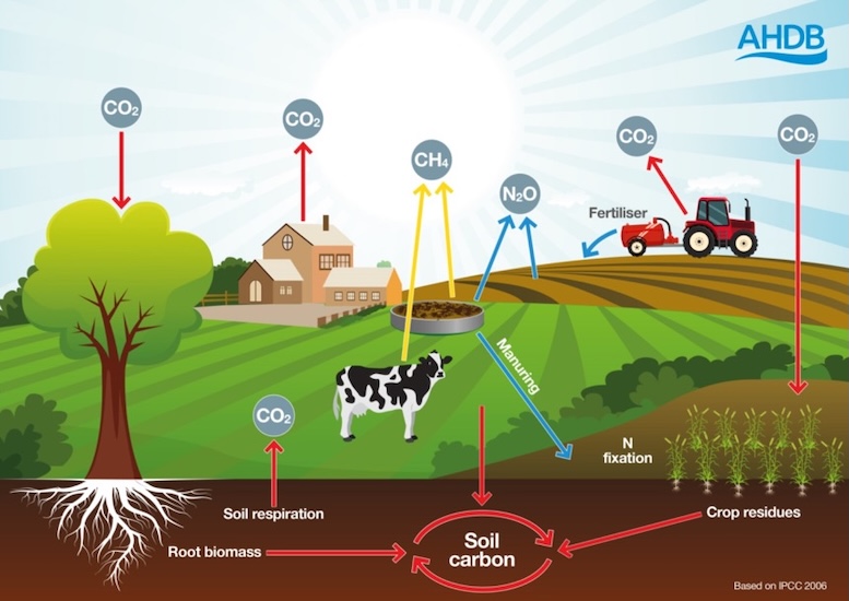 A schematic depicting the different types of emissions produced by agricultural practices and the pathways leading to emission capture/sequestration.