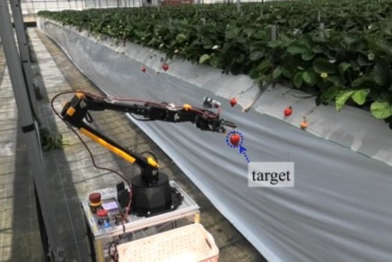 A small agricultural robot navigating high-bed cultivation areas and harvesting strawberries.
