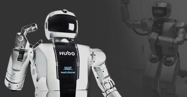 Rainbow Robotics is a globally recognized robotic manufacturer that specializes in robotic systems.