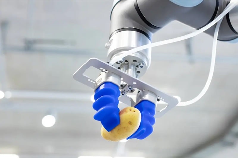 Schmalz mGrip Basic uses soft pneumatic fingers to securely handle delicate and irregular products, such as potatoes, without damaging their surfaces.