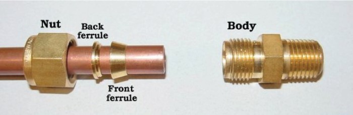 the ferrule and the nut