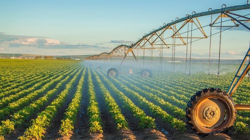 Pumps are used in various everyday applications ranging from irrigation fields to wastewater management systems.