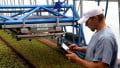 Latest Industry Partnerships Advance Agriculture With AI-Driven Solutions
