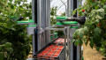 Enhanced Robotics and Data Connectivity Aim to Advance Agriculture  