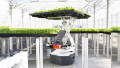 Zebra Technologies and Hippo Harvest Cut Resource Waste With AMR-Driven Farming