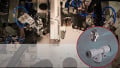 GRIPfit Push-In Fittings Combine Speed and Sustainability