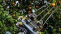 Guide to Robotic Grippers: From Delicate to Heavy-Duty Handling