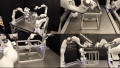 Google DeepMind’s RoboBallet Cuts Robot Planning Time