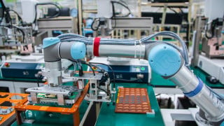 The Cost of Not Automating - Are Unresolved Business Challenges Killing Your Bottom Line?