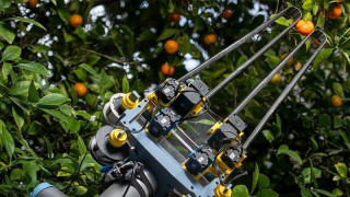 Guide to Robotic Grippers: From Delicate to Heavy-Duty Handling
