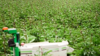 Autonomous Farming Robots brought to U.S. by Naïo Technologies SAS