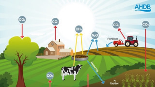 Precision Agriculture: Sustainability and ROI in Farming