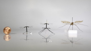 RoboBees and Smart Tractors Advance Agri-Robotics Tech