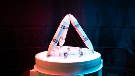 Robots Have Worked up an Appetite: The Fare? Other Robots