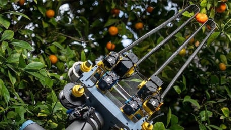 Guide to Robotic Grippers: From Delicate to Heavy-Duty Handling