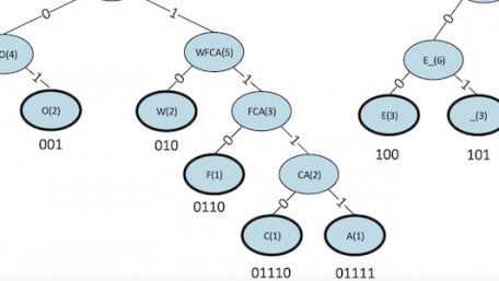 Huffman Coding for Data Compression
