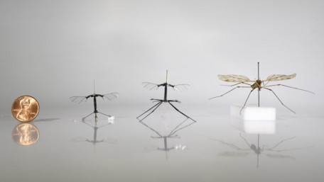 RoboBees and Smart Tractors Advance Agri-Robotics Tech