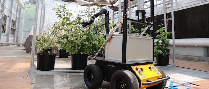WVU Researchers Develop New Robot to Utilize AI and Machine Learning ...