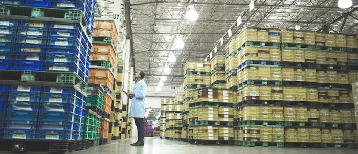 Identifying Common Challenges in Warehouse Management Systems ...